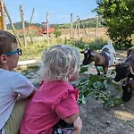 La Quinta Decima Bioagriturismo 팜스테이