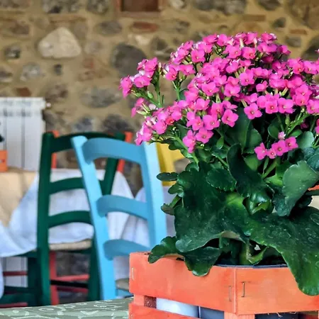 La Quinta Decima Bioagriturismo Séjour à la ferme