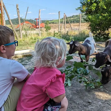 La Quinta Decima Bioagriturismo Séjour à la ferme