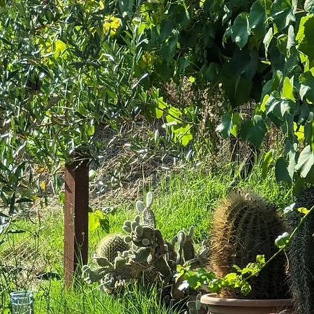 La Quinta Decima Bioagriturismo Séjour à la ferme